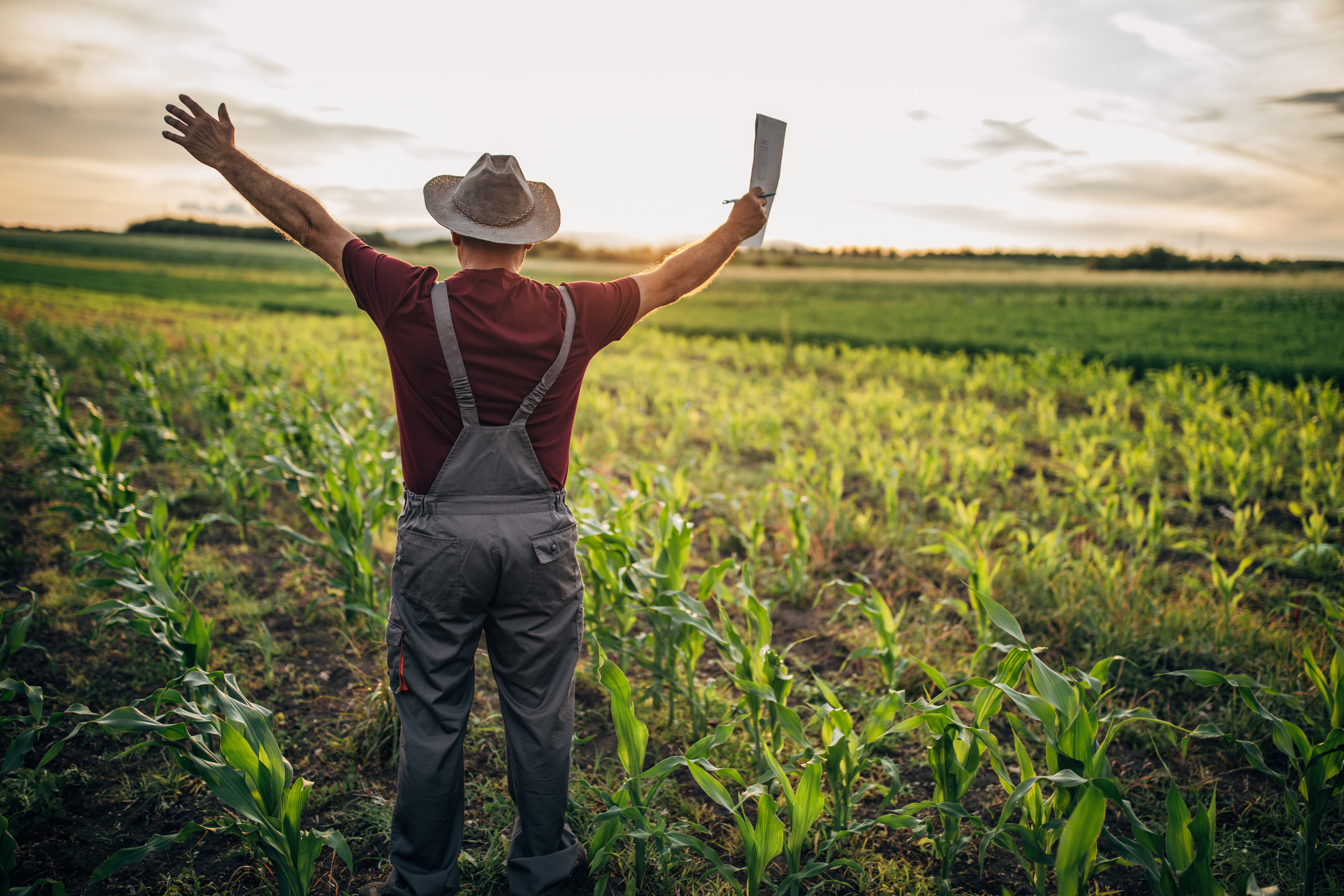 Happy farmer on the field